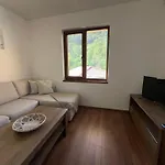 Noya Guest Beli Osŭm