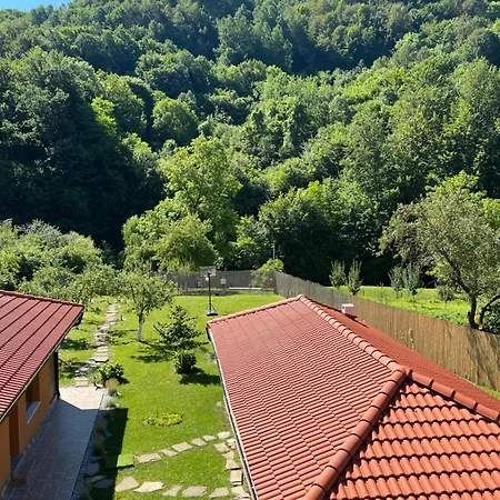 Noya Guest * Beli Osŭm